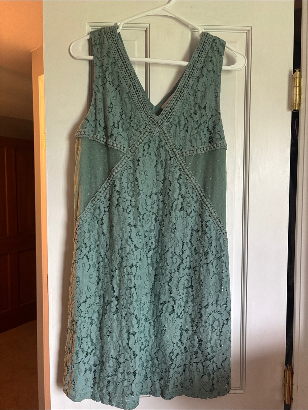 Francesca’s Sleeveless Lace Overlay V-Neck Dress